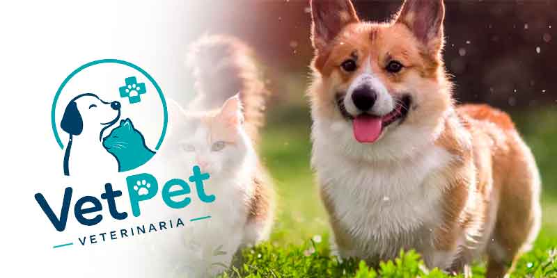 VetPet Veterinaria